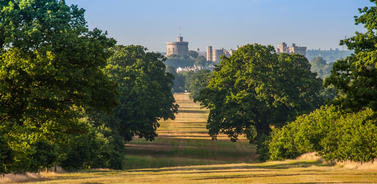 Windsor Great Park